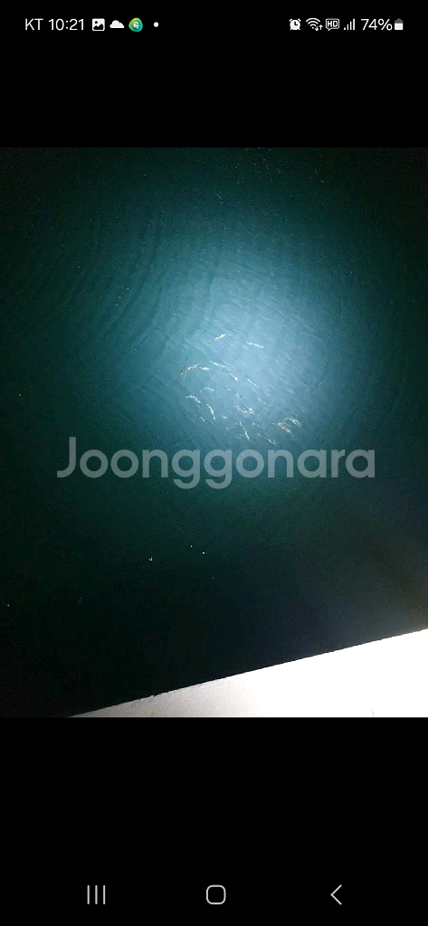 80w집중형 집어등--3