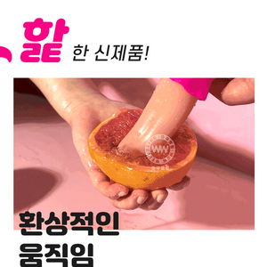 오구구 혀핥기 진동 여성기구 ㅇㄴㅎ