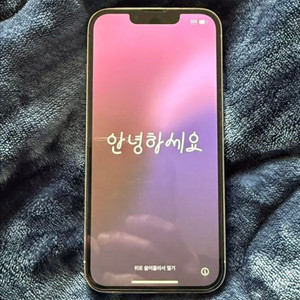 아이폰13미니