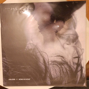 전인권 데스티니 LP