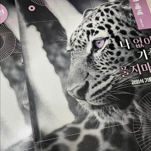 전형태 나기출 언매