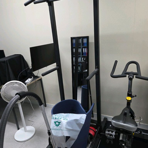 더스크렉 치닝디핑 철봉