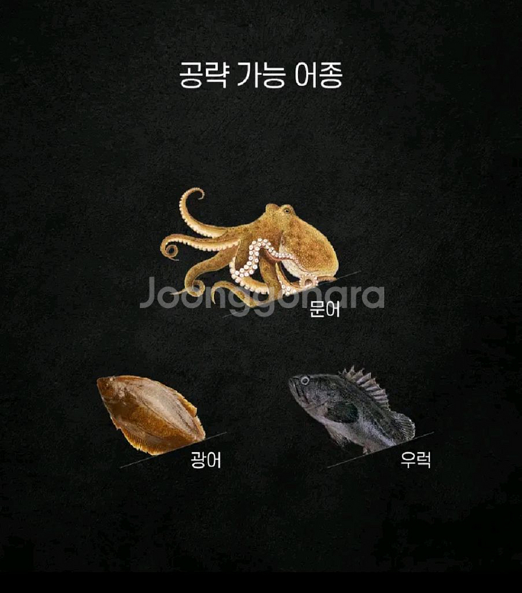 문어선상 카본낚시대 C175MH 스파이럴 가이드--8