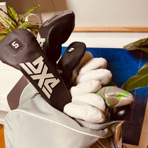pxg 여성용 골프채 풀세트