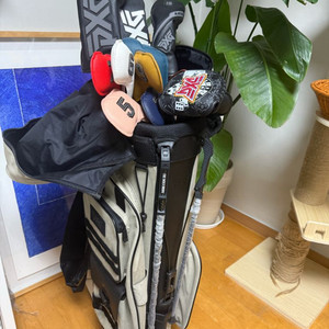 여성용 pxg 골프채 풀셋