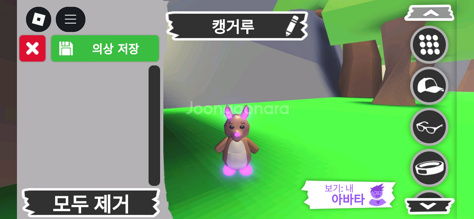 입양하세요 펫 메가네온 캥거루(메캥)판매해요--0