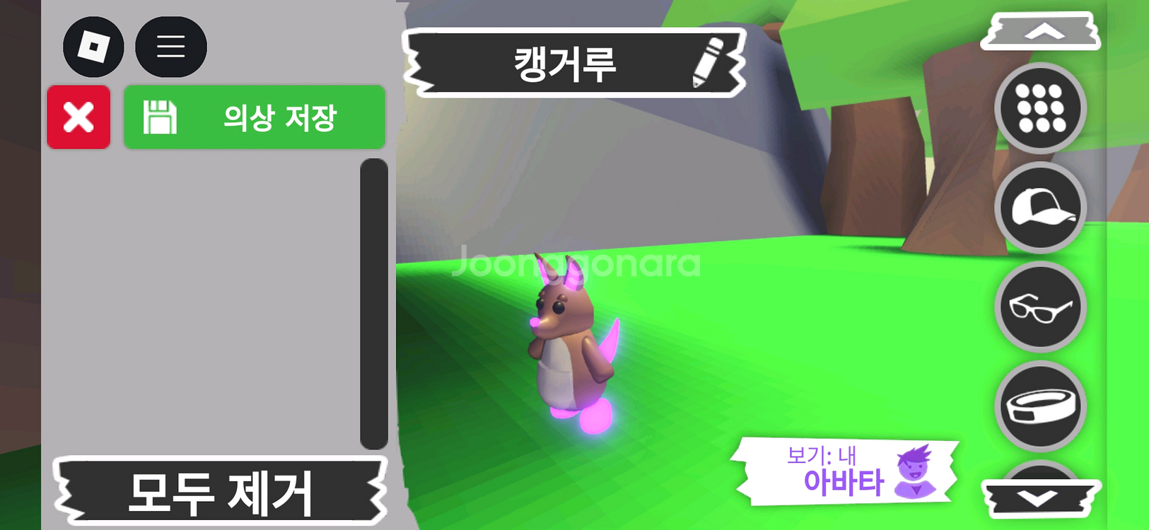 입양하세요 펫 메가네온 캥거루(메캥)판매해요--2