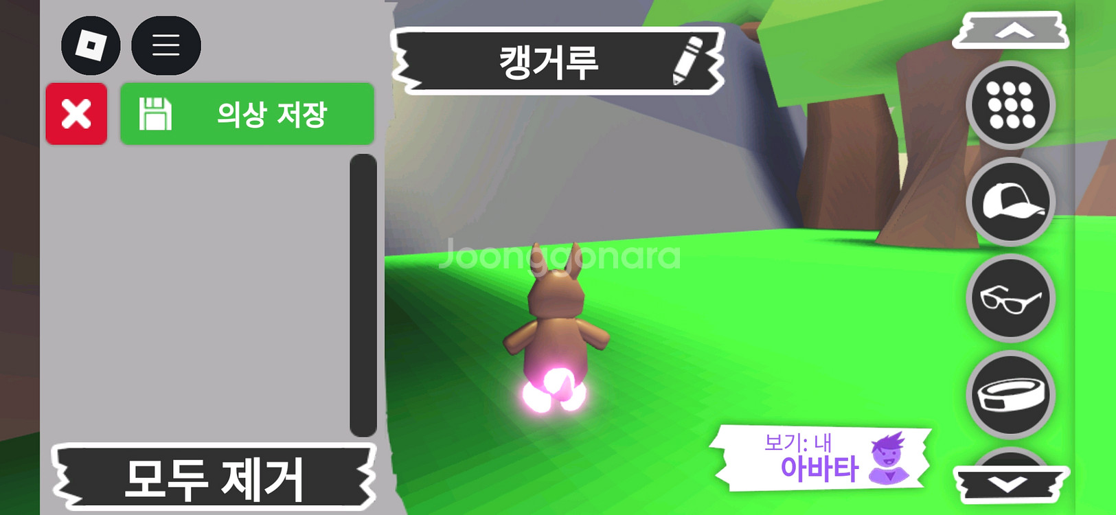 입양하세요 펫 메가네온 캥거루(메캥)판매해요--3