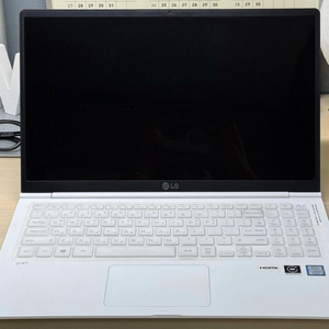 LG그램 15ZD980-TX56K