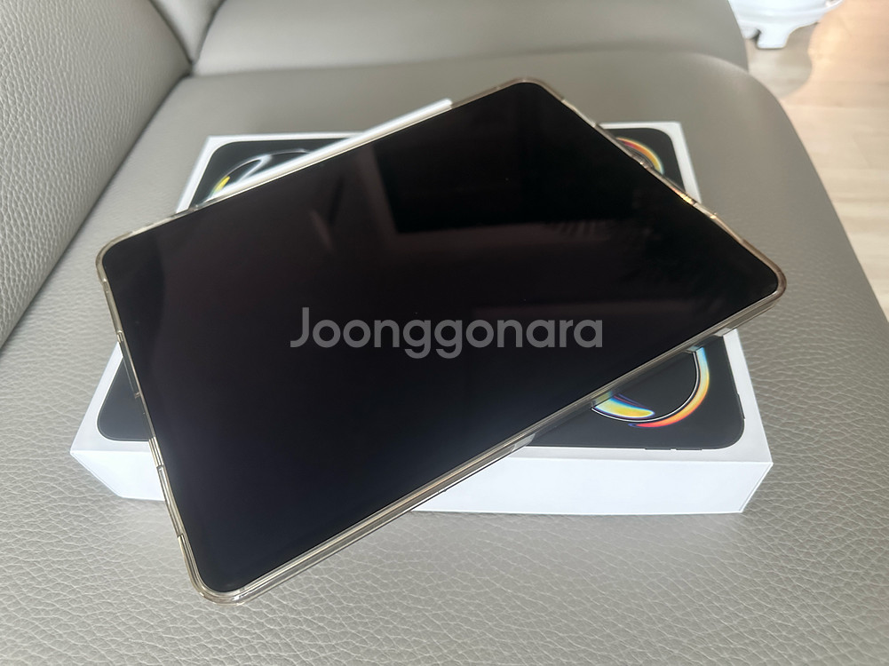 아이패드프로 M4 13 256gb 셀룰러+펜슬--0