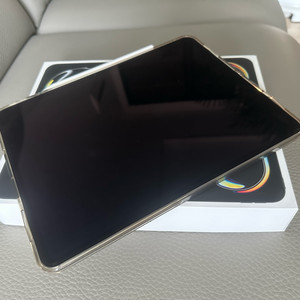 아이패드프로 M4 13 256gb 셀룰러+펜슬