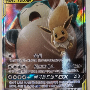 무료배송 이브이&잠만보 GX 포켓몬 카드