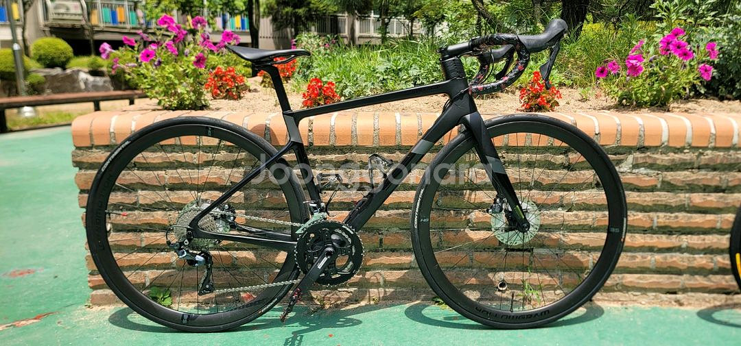 캐논데일 슈퍼식스 에보 2022년식--1