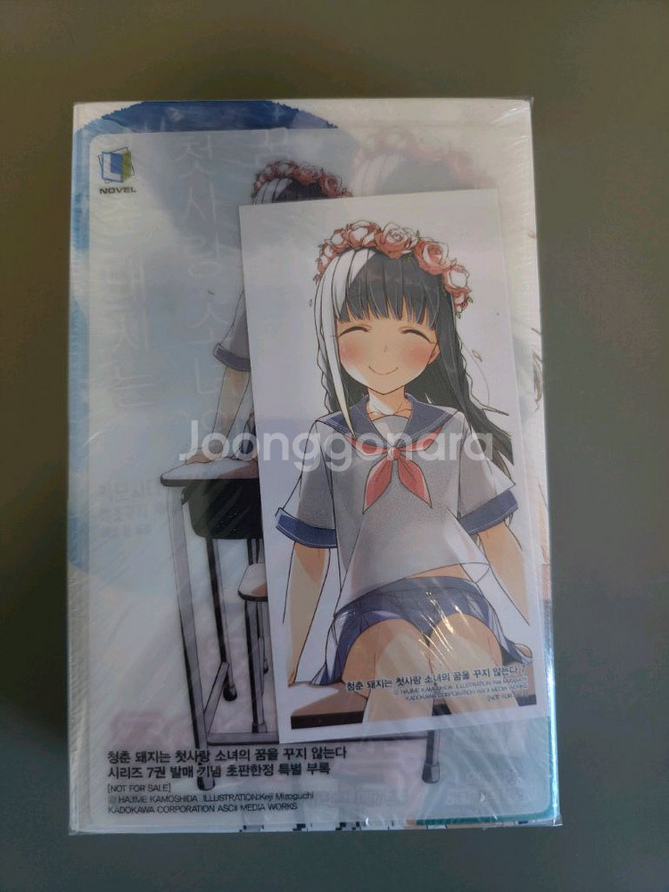 청춘돼지7특별판 청춘돼지는첫사랑소녀의꿈을꾸지않는다--0