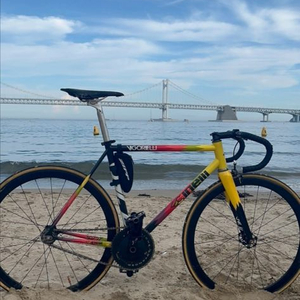 치넬리 비고렐리 스틸