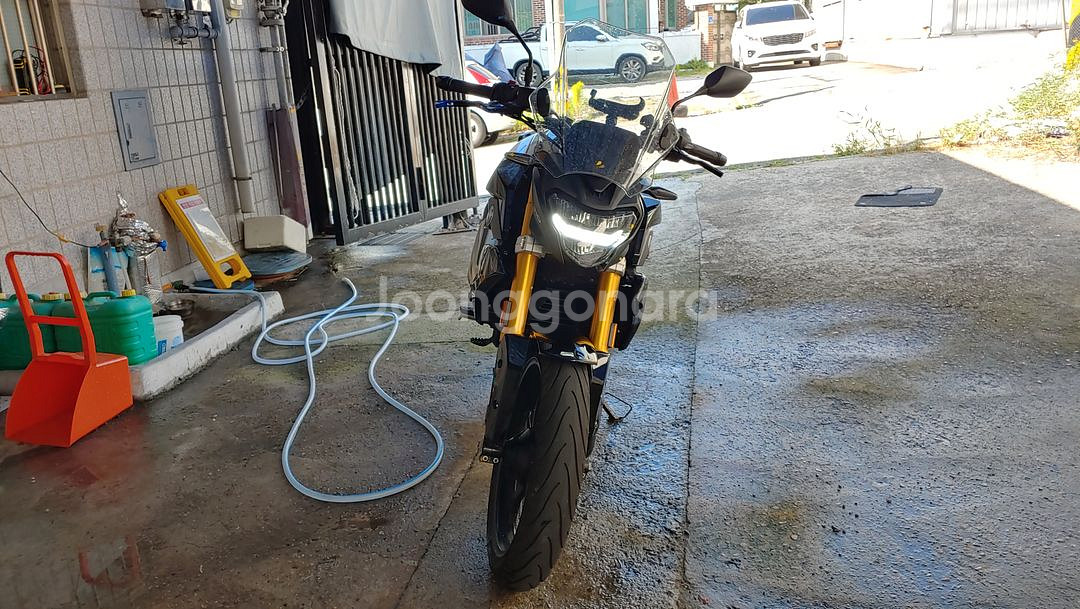 BMW G310R--6
