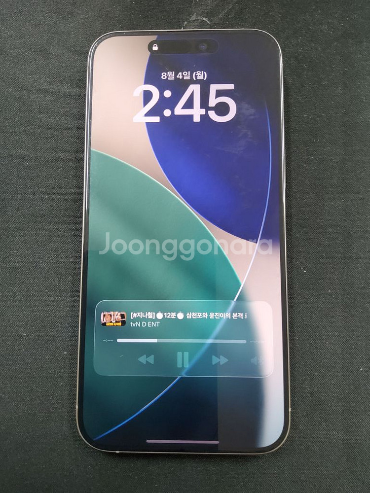 홍콩판 아이폰 15프로맥스 1TB 티타늄--0