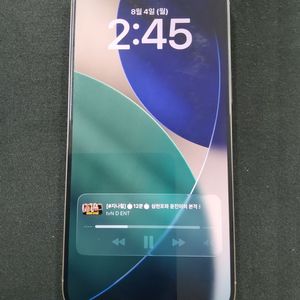 홍콩판 아이폰 15프로맥스 1TB 티타늄