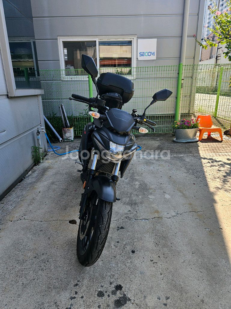스즈키 GSX-S125 개인--1
