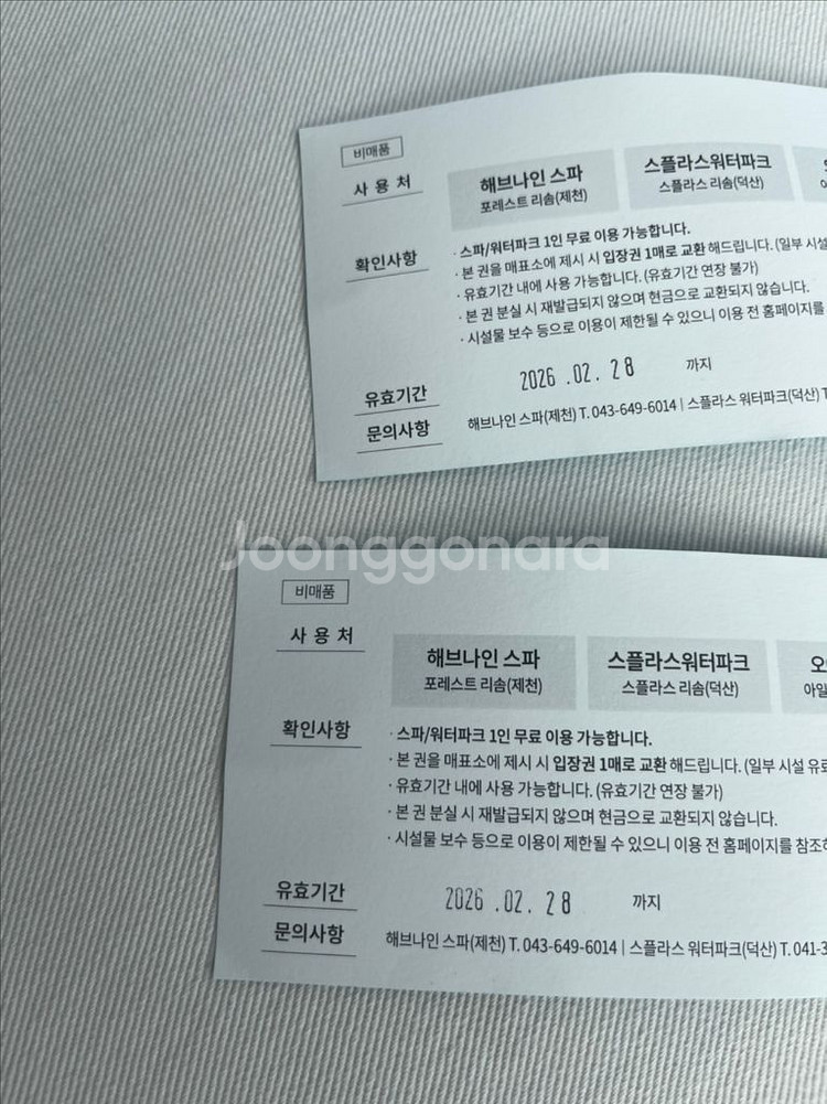 리솜 워터파크 스플라스 해븐--1