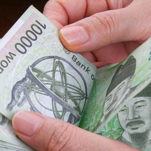 브레인롯훔치기 (드레곤카넬로니)구합니다