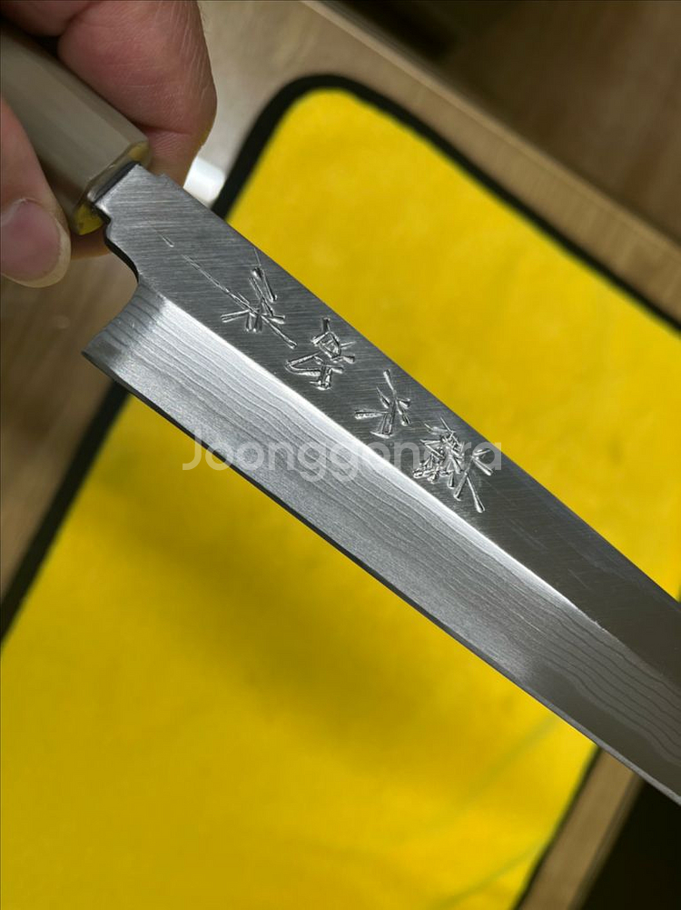 토지로 다마스커스 청이강 야나기바 240mm--3