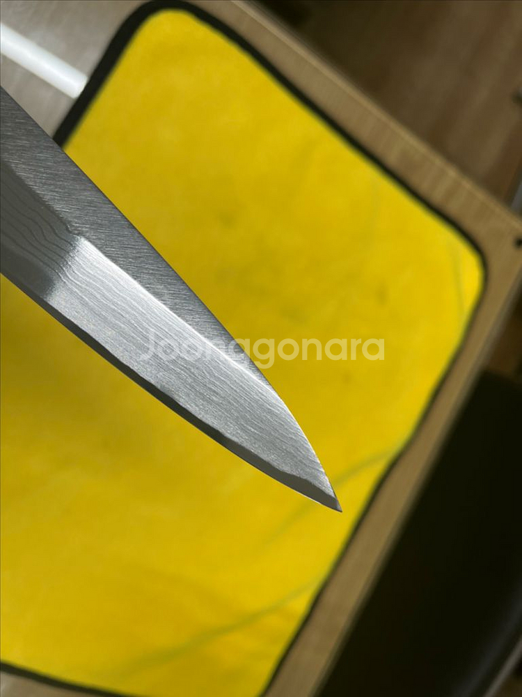 토지로 다마스커스 청이강 야나기바 240mm--5