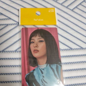 레드벨벳 슬기 교통카드