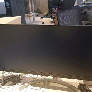 LG 울트라와이드 모니터 29인치 29WN600