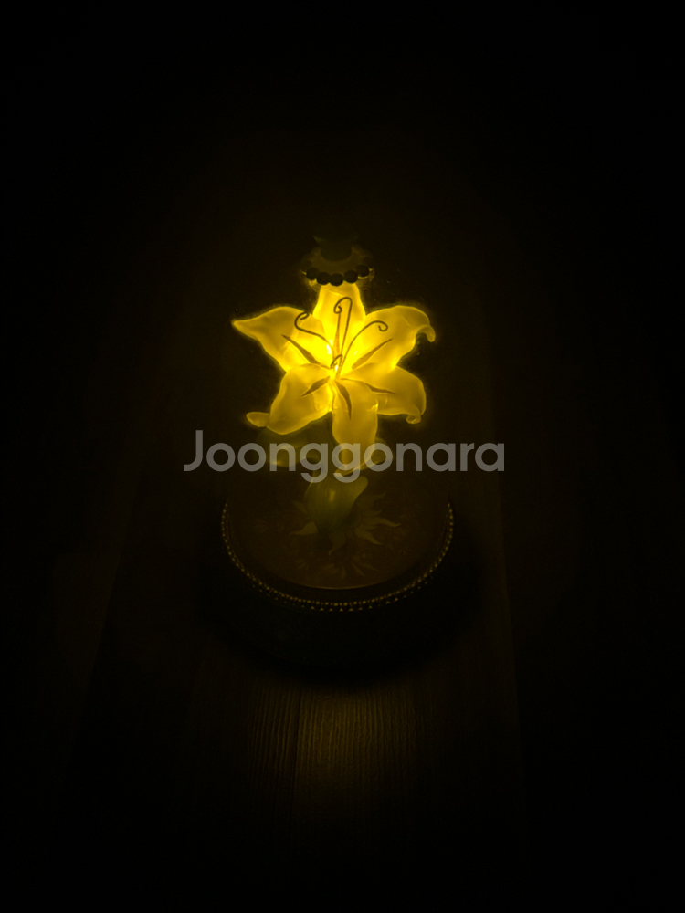 라푼젤 무드등--0