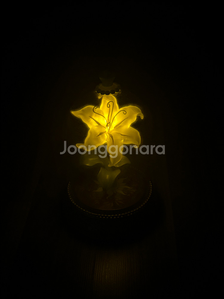 라푼젤 무드등--1
