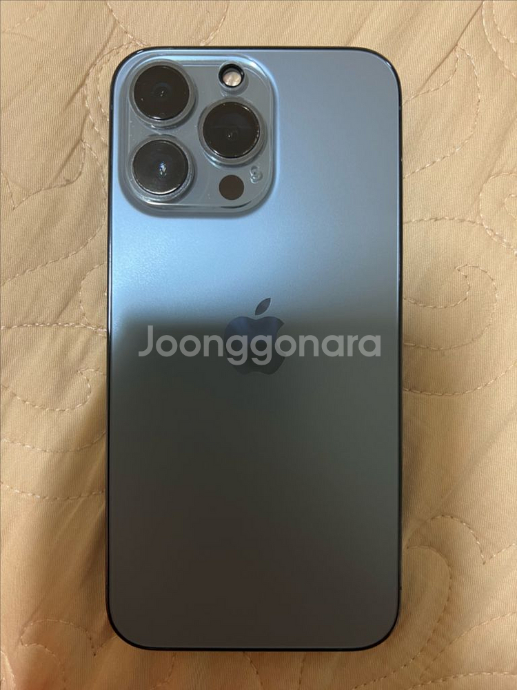 아이폰 13 Pro 256GB--0
