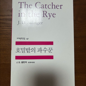 호밀밭의 파수꾼