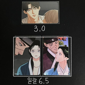 팀레진 특전 투명 포토카드 포카