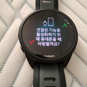 가민 포러너 165