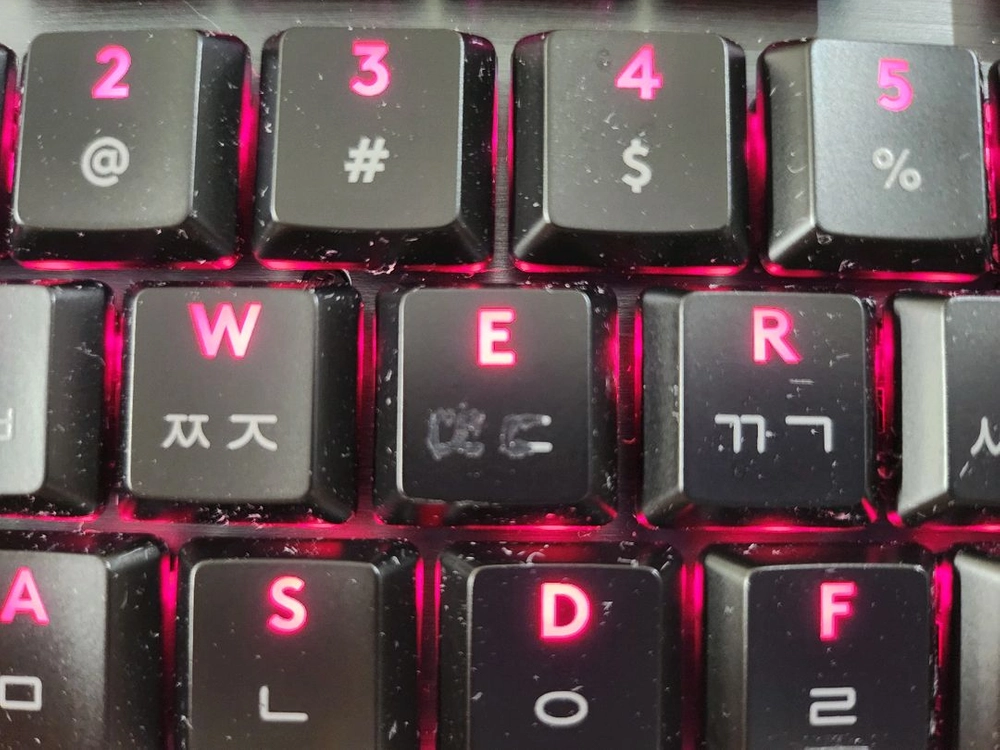 로지텍 g913 tkl 리니어, g703마우스 이미지