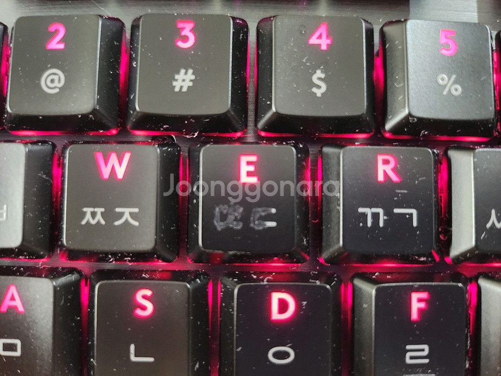 로지텍 g913 tkl 리니어, g703마우스--4