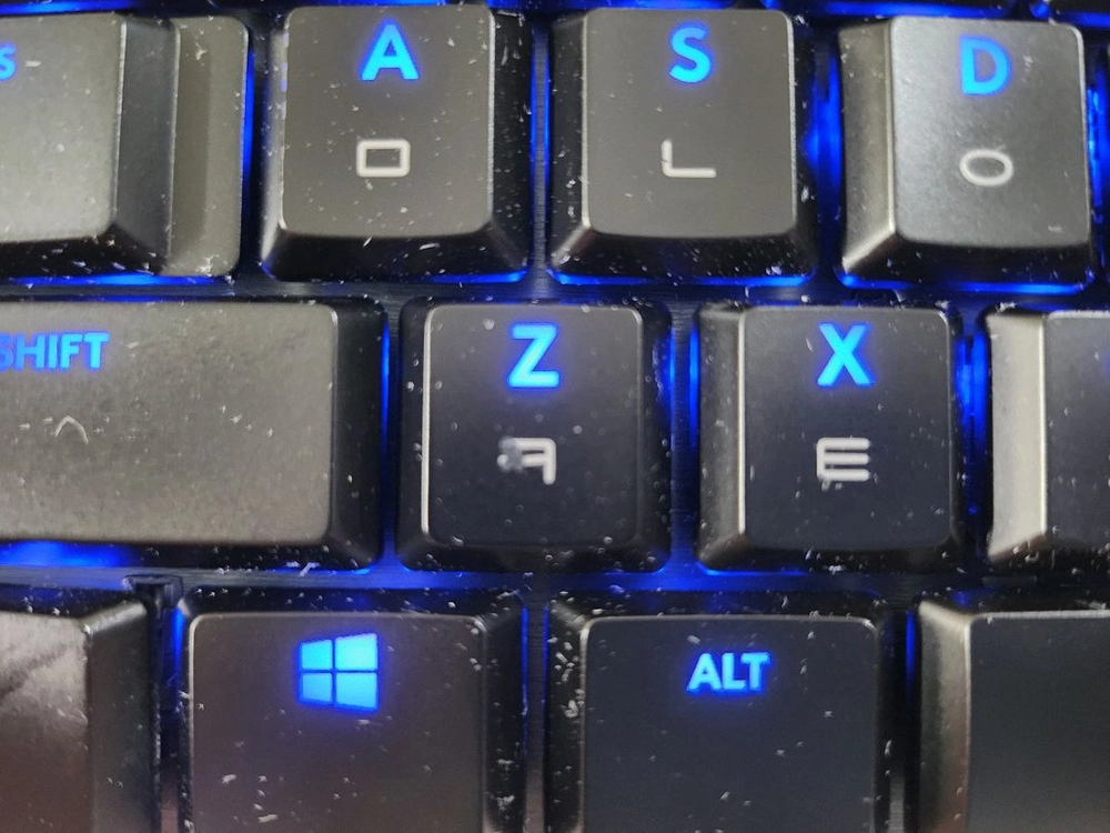 로지텍 g913 tkl 리니어, g703마우스 이미지