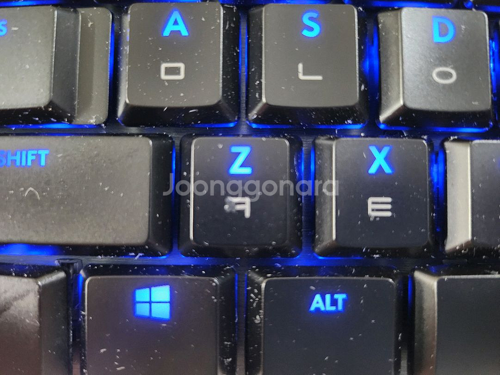 로지텍 g913 tkl 리니어, g703마우스--3