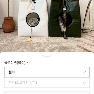 고양이 오무 숨백 숨숨집