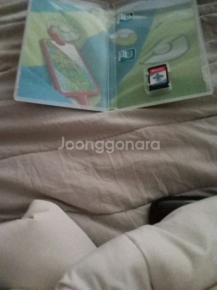 포켓몬스터소드--1