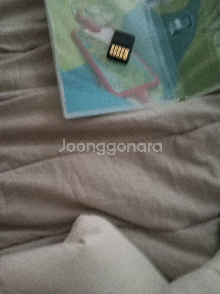 포켓몬스터소드--2