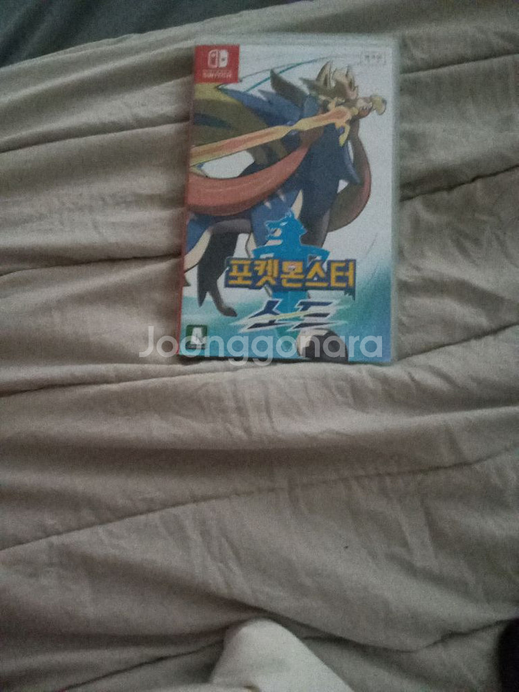 포켓몬스터소드--4