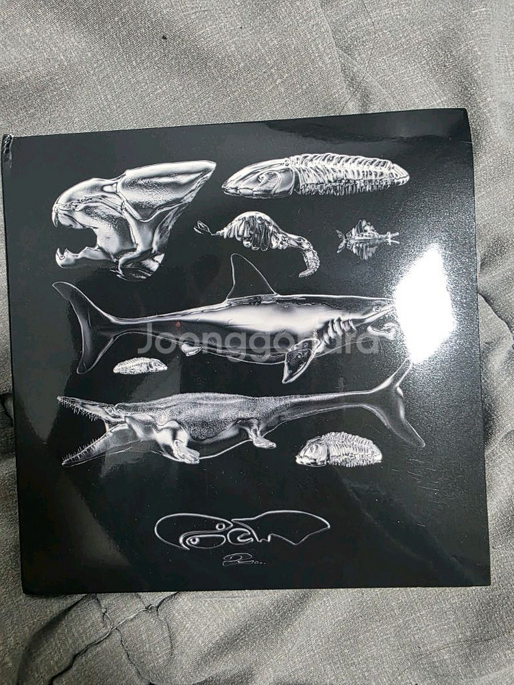 오왼 cd 앨범 일괄판매--1