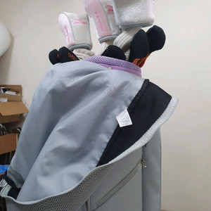 미즈노 아이언 등 여성용 중고골프채 풀세트 서울아이템