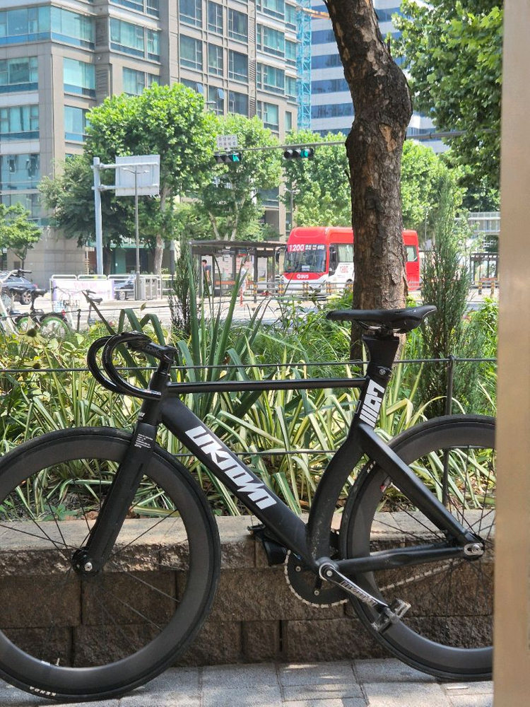 csc60림(타튜코그락링 포함) 이미지