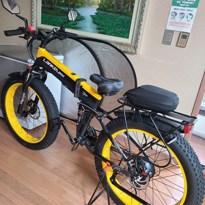 랑케레이시 XT750 PLUS 접이식 전기자전거