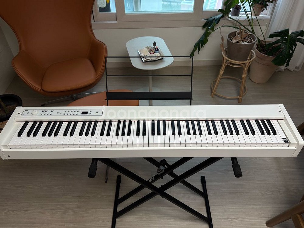 korg d1 전자 피아노 디지털 피아노 건반--0