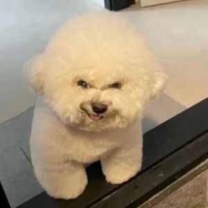 넥슨 캐시 충전식 삽니다