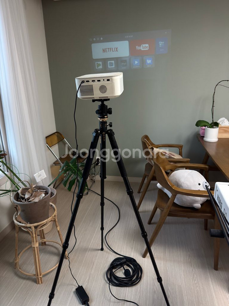 가격낮춤 빔프로젝터 프로젝터 매니아 pjm 500f--0